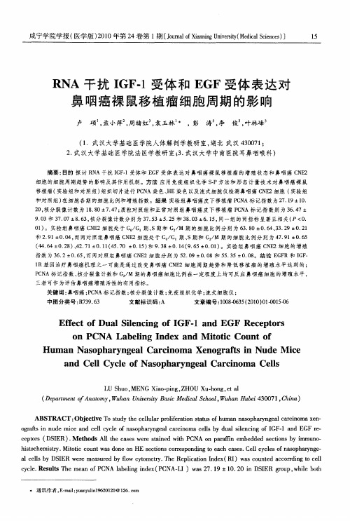 RNA干扰IGF-1受体和EGF受体表达对鼻咽癌裸鼠移植瘤细胞周期的影响