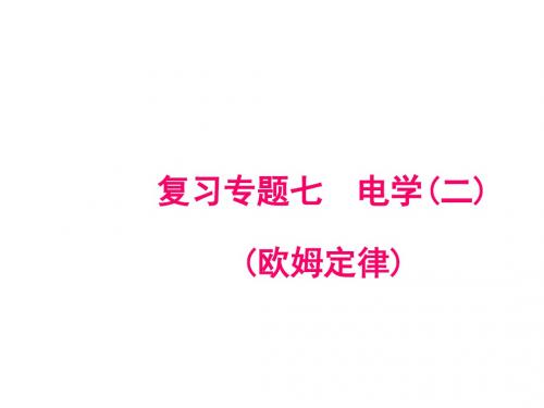 2019届人教版(武汉)物理中考复习课件：复习专题七 电学(二)(欧姆定律)(共22张PPT)