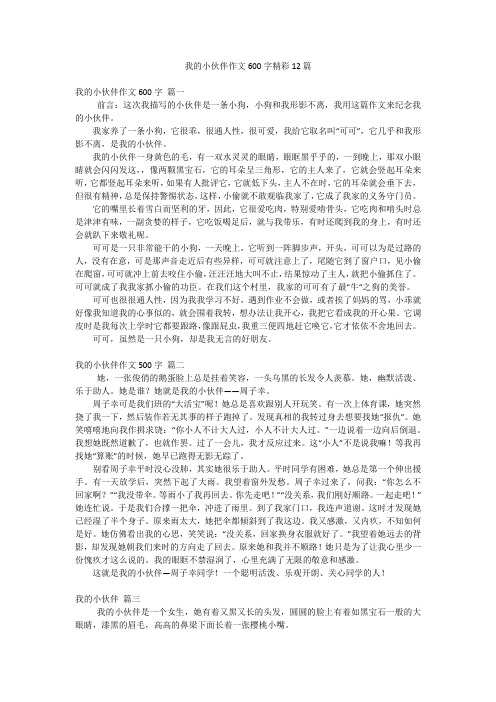 我的小伙伴作文600字精彩12篇