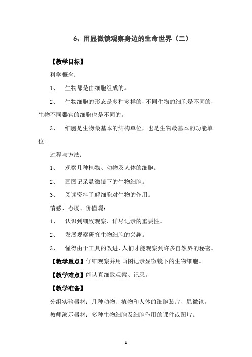 六年级下册科学教案-6、用显微镜观察身边的生命世界(二) 教科版