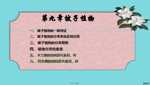 植物生物学被子植物(1)(共46张PPT)