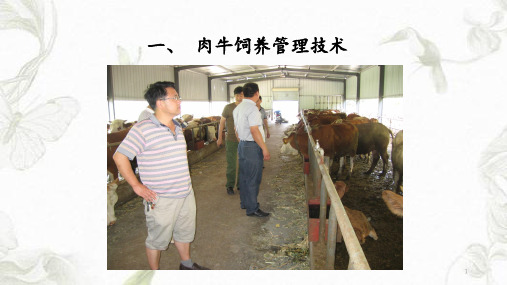 肉牛养殖技术(学习重点)