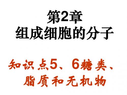 人教版高中生物高考复习：第2章组成细胞的分子考点5、6糖类脂质、无机物(共13张PPT)