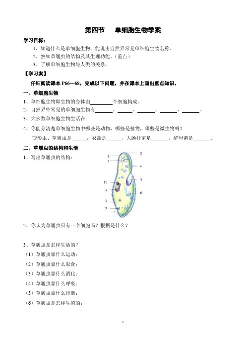 第四节单细胞生物学案