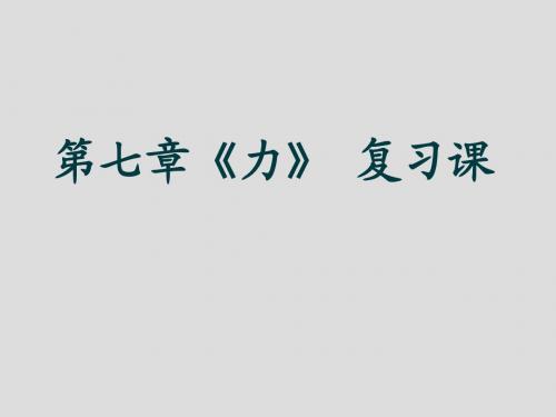 新人教版初中物理第七章《力》复习课