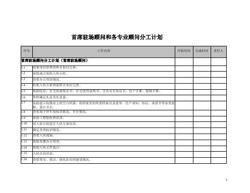 首席驻场顾问和各专业顾问分工计划