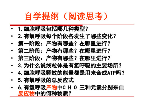 ATP的主要来源细胞呼吸1-PPT文档-精选文档