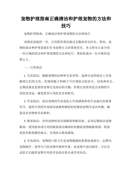 宠物护理指南正确清洁和护理宠物的方法和技巧