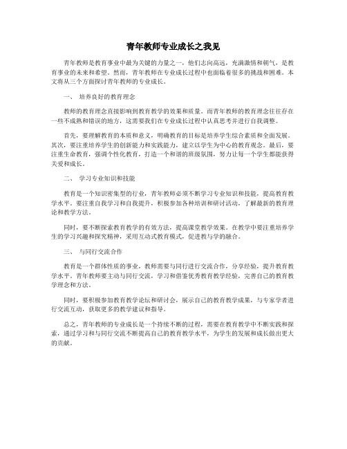 青年教师专业成长之我见