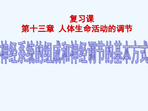 生物人教版七年级下册第六章人体生命活动的调节第二节人体神经系统的组成