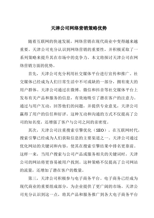 天津公司网络营销策略优势