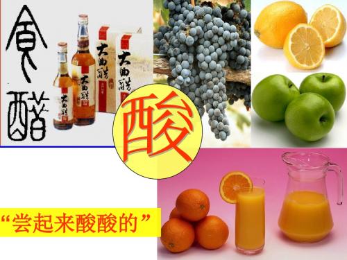 课题1__常见的酸和碱_第1课时__酸碱指示剂的探究