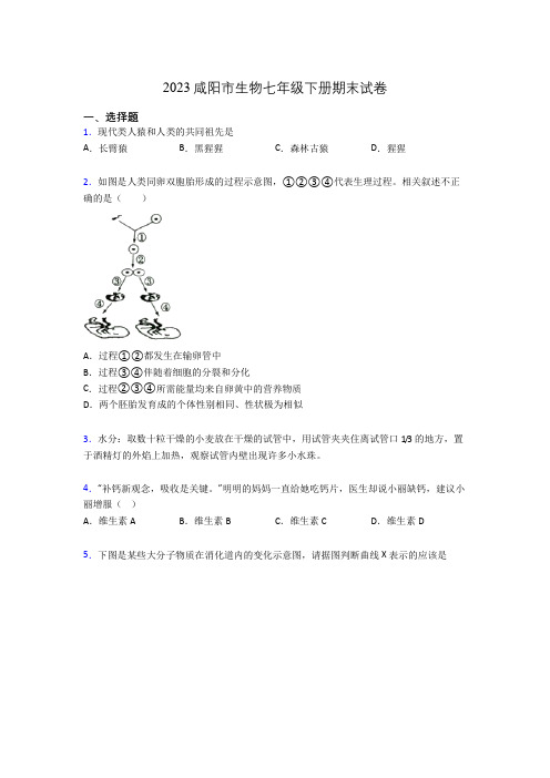 2023咸阳市生物七年级下册期末试卷