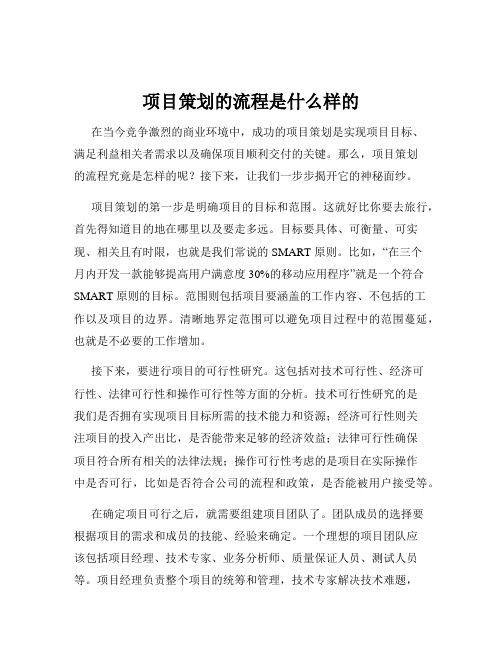 项目策划的流程是什么样的