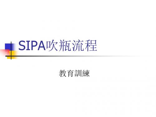 1.SIPA的吹瓶流程 SIPA吹瓶机流程,工作讲义