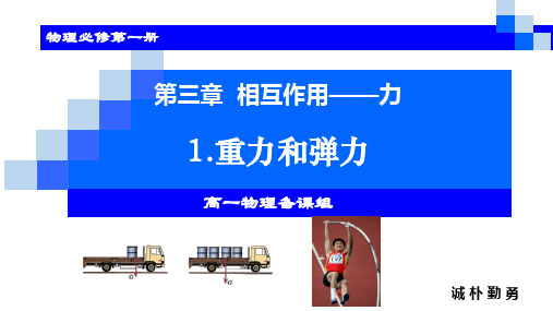 人教版2019高中物理必修一3.1重力与弹力(共47张PPT)(2024年)