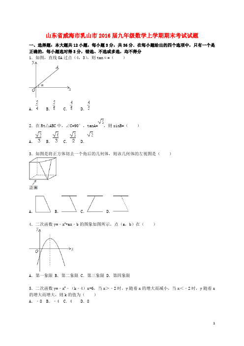 山东省威海市乳山市九年级数学上学期期末考试试题(含解析) 新人教版