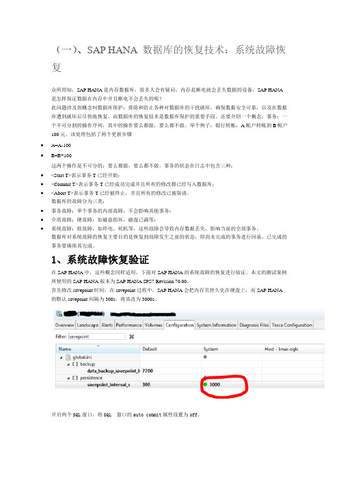 SAP HANA 故障恢复处理