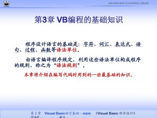 vb第3章  Visual Basic语言基础