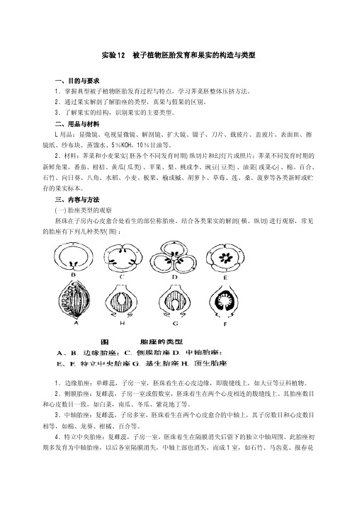 被子植物胚胎发育和果实的构造与类型