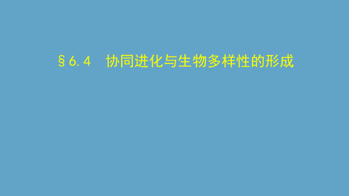 协同进化与生物多样性的形成课件【新教材】人教版高中生物必修二