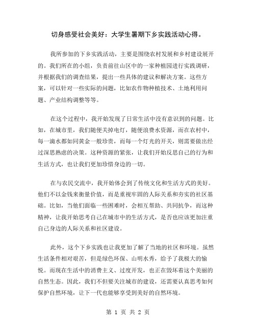 切身感受社会美好：大学生暑期下乡实践活动心得