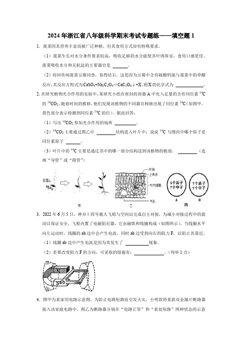 期末考试专题练——填空题1—2023-2024学年浙教版科学八年级下册