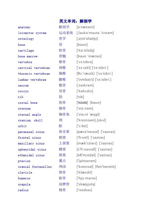 解剖学单词 单词+释义+音标