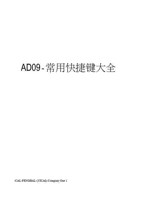 AD09-常用快捷键大全