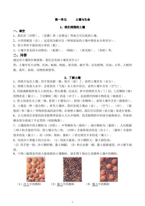 最新苏教版小学三年级科学下册作业设计