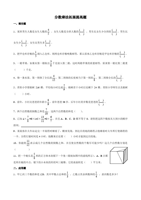 最新苏教版小学六年级数学上册分数乘法扩展提高题