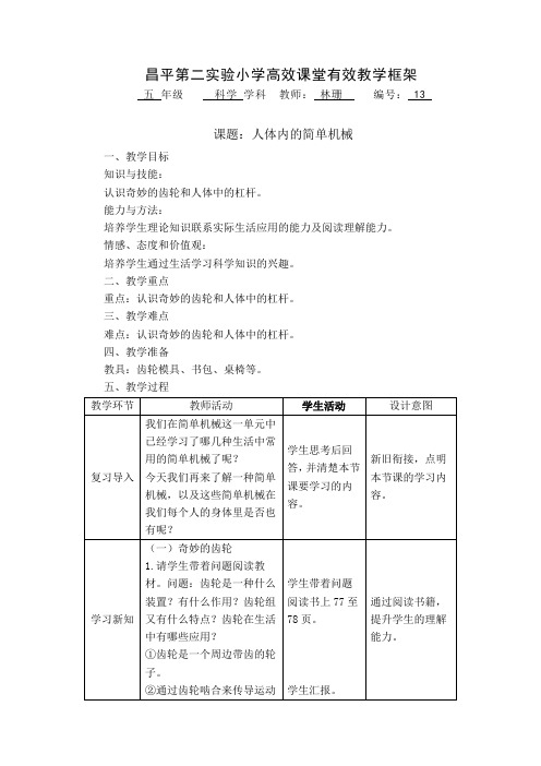 人体内的简单机械