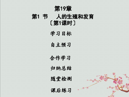 文水县第一中学八年级生物上册第六单元第19章第1节人的生殖和发育第1课时课件新版北师大版