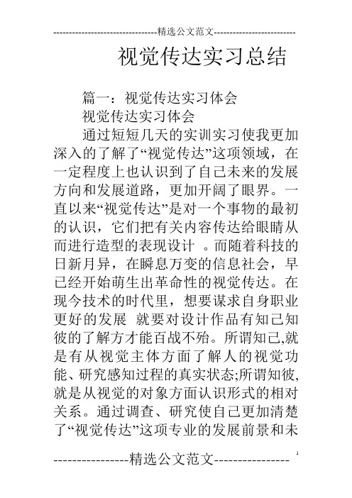 视觉传达实习总结