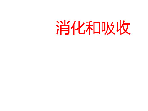 六年级科学下册_5消化与吸收冀人版ppt(35张)精品课件