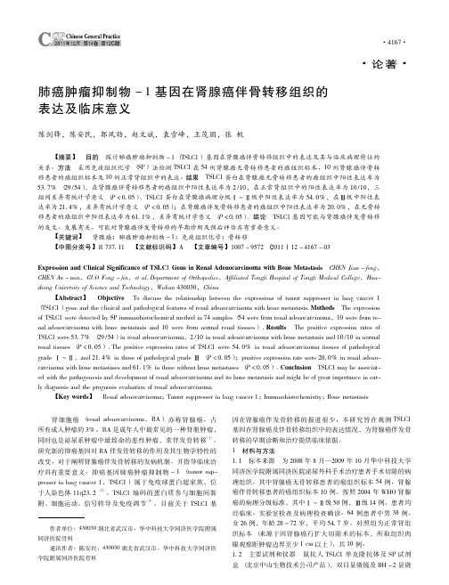 肺癌肿瘤抑制物_1基因在肾腺癌伴骨转移组织的表达及临床意义