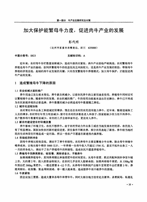 加大保护能繁母牛力度2c促进肉牛产业的发展