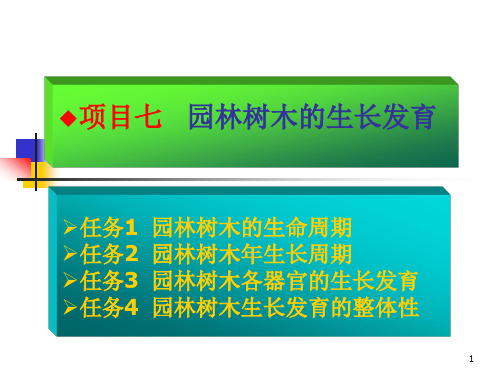 单元七 园林树木生长发育规律