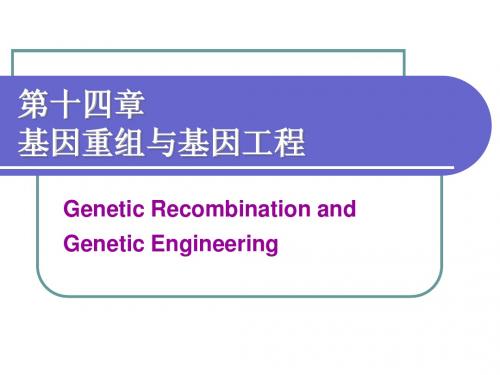 14第十四章 基因重组与基因工程