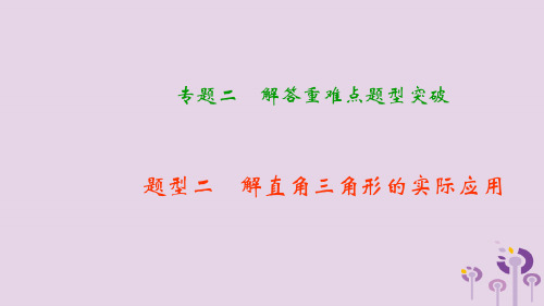 中考数学二轮复习专题二解答重难点题型突破题型二解直角三角形的实际应用课件