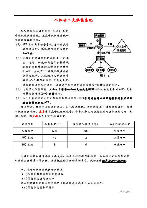 人体三大供能系统