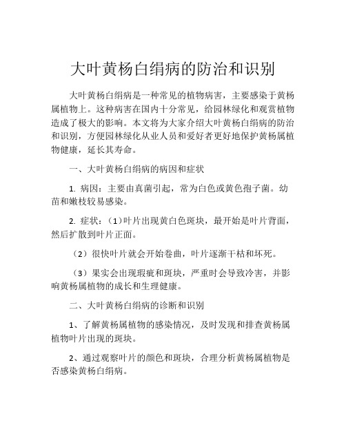 大叶黄杨白绢病的防治和识别