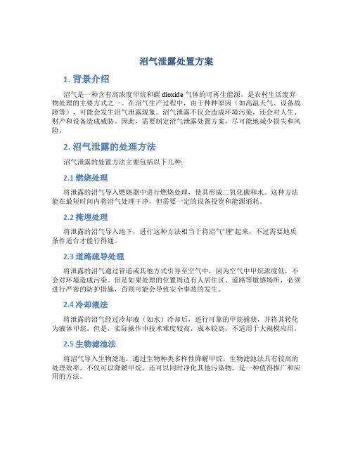 沼气泄露处置方案