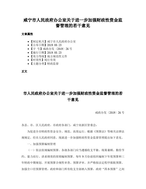 咸宁市人民政府办公室关于进一步加强财政性资金监督管理的若干意见