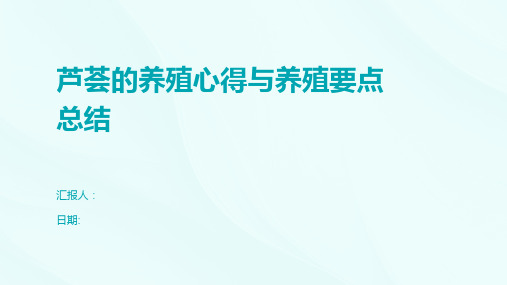 芦荟的养殖心得与养殖要点总结