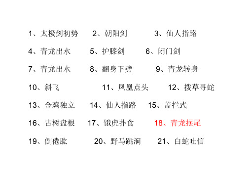 陈氏太极剑49式太极剑谱