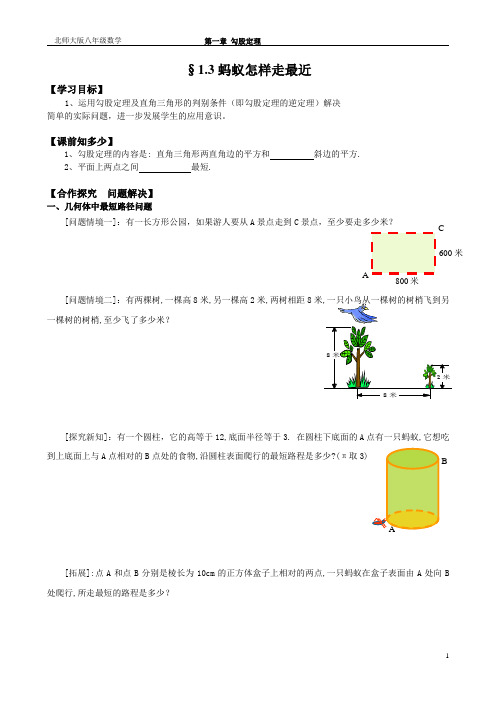 §1.3蚂蚁怎样走最近