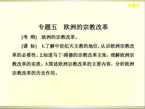 高考历史大一轮复习历史上重大改革回眸专题五欧洲的宗教改革课件选修