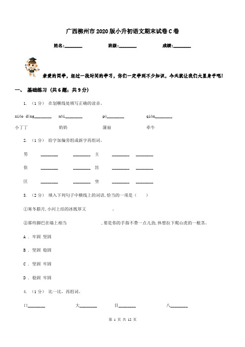 广西柳州市2020版小升初语文期末试卷C卷