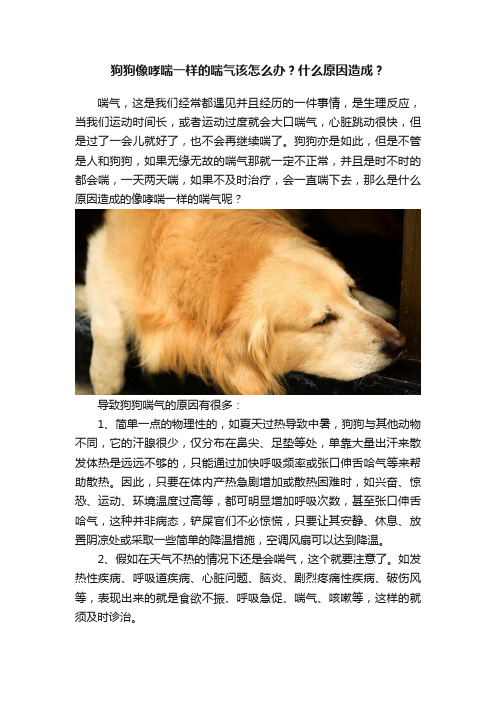 狗狗像哮喘一样的喘气该怎么办？什么原因造成？